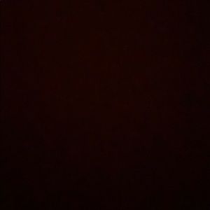 Meet your Posher, Sheeba